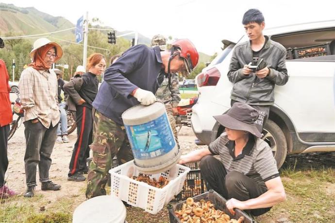 【鄉(xiāng)村振興在青�！可揭袄锏摹爸赂粋恪�